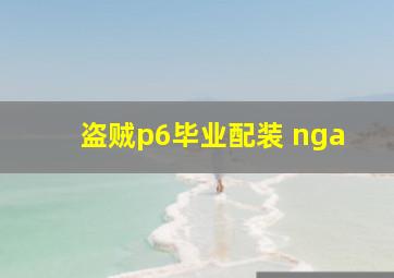 盗贼p6毕业配装 nga